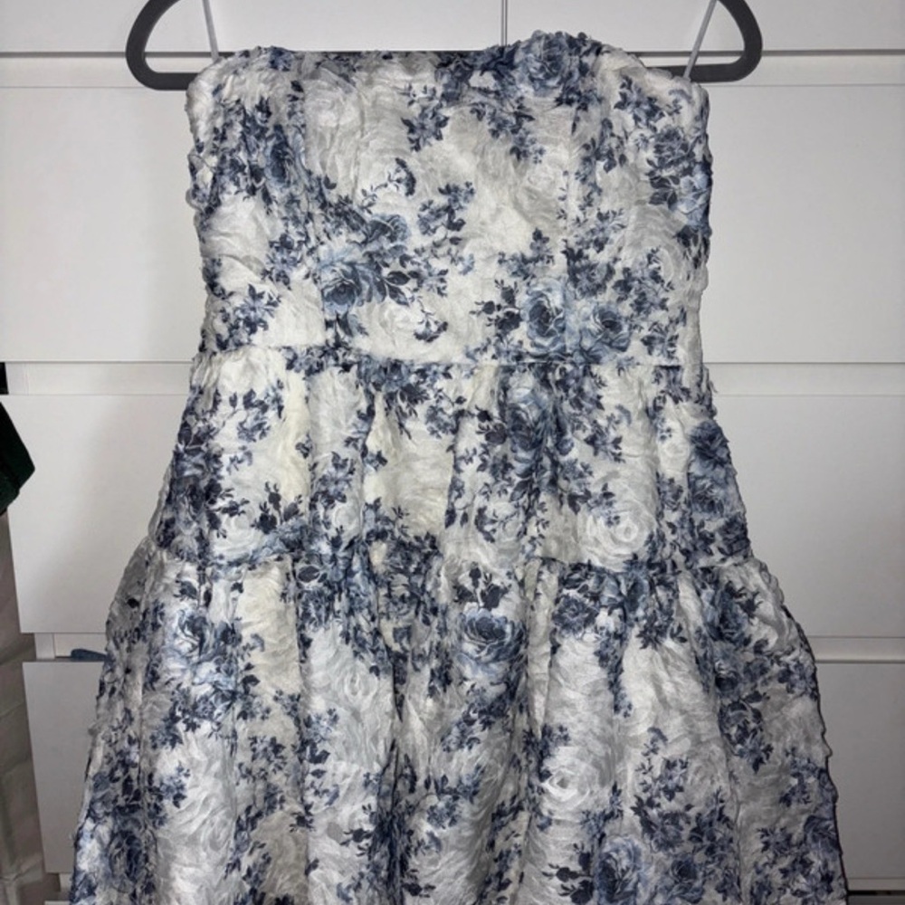 Francesca's Collections Blue and White Floral Dress